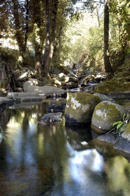 Apartamento Rural Arbequina, PISCINA CLIMATIZADA TERMAL Balneario el Salugral a 12 KILÓMETROS, 5 euros por persona Casas del Monte Habitación foto